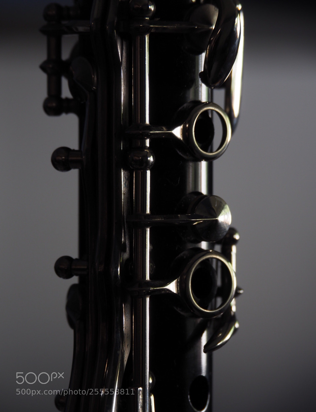 Olympus OM-D E-M5 II sample photo. Stick of licorice photography