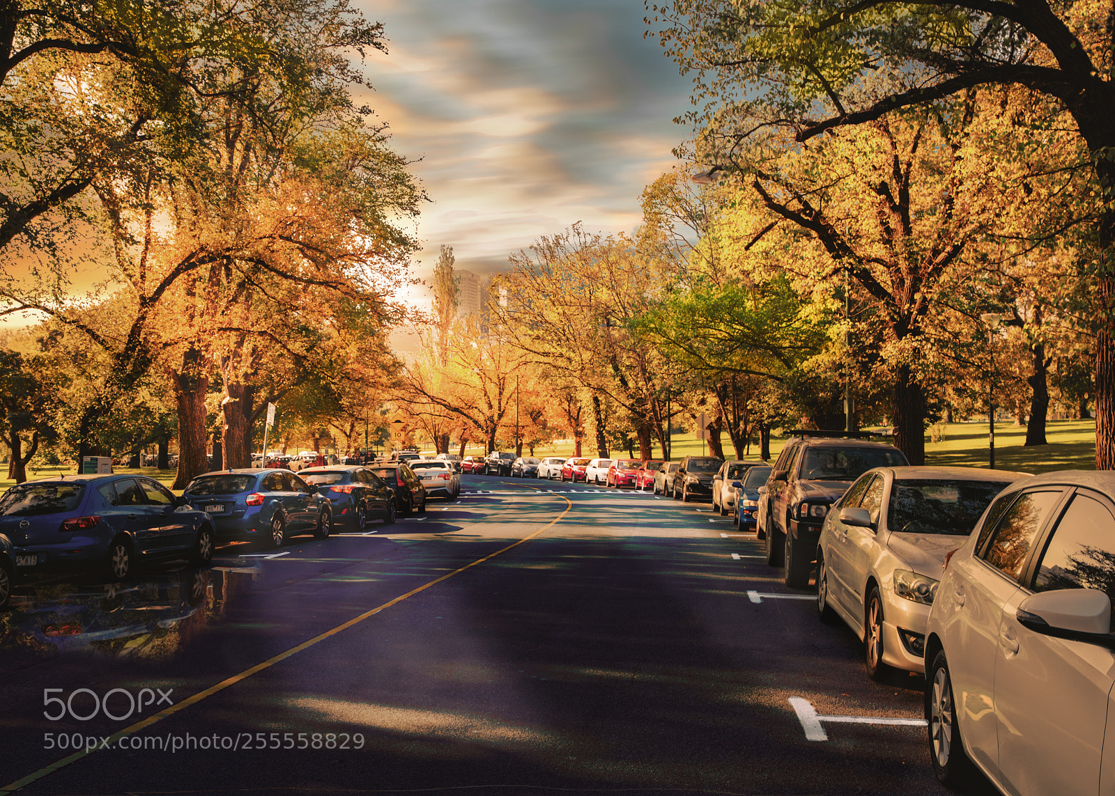 Canon EOS 6D Mark II sample photo. Autumn colour photography