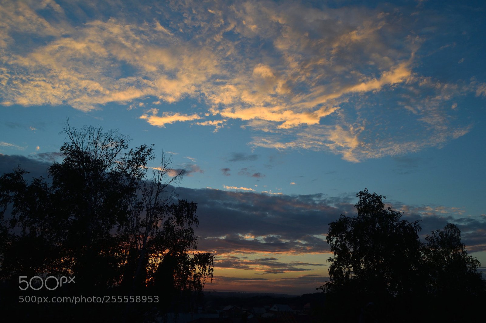 Nikon D3300 sample photo. Sunset and peach clouds photography