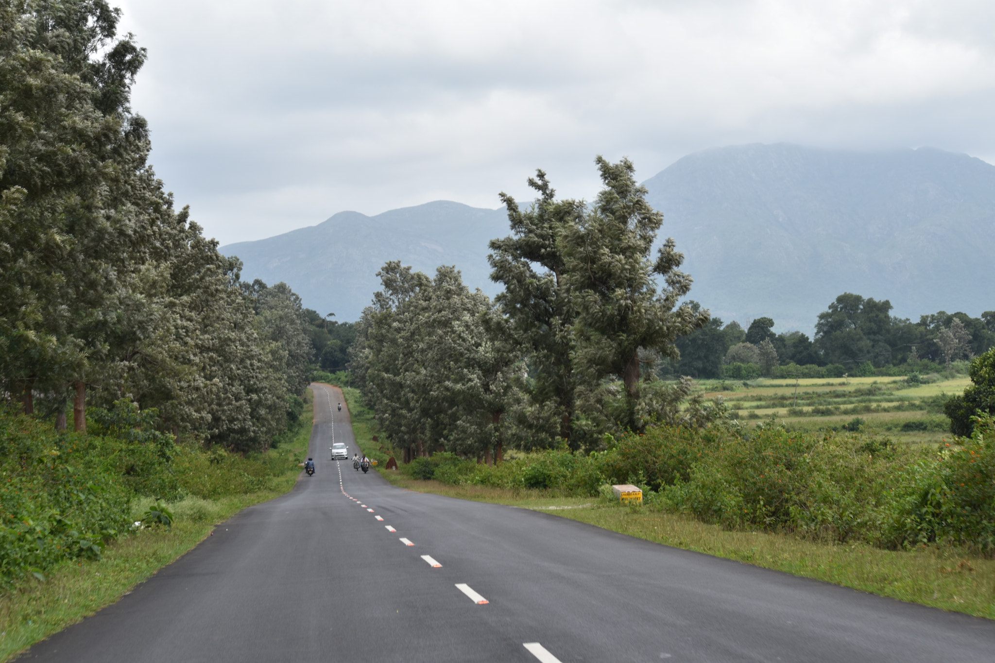 Nikon D5500 sample photo. Road view point photography
