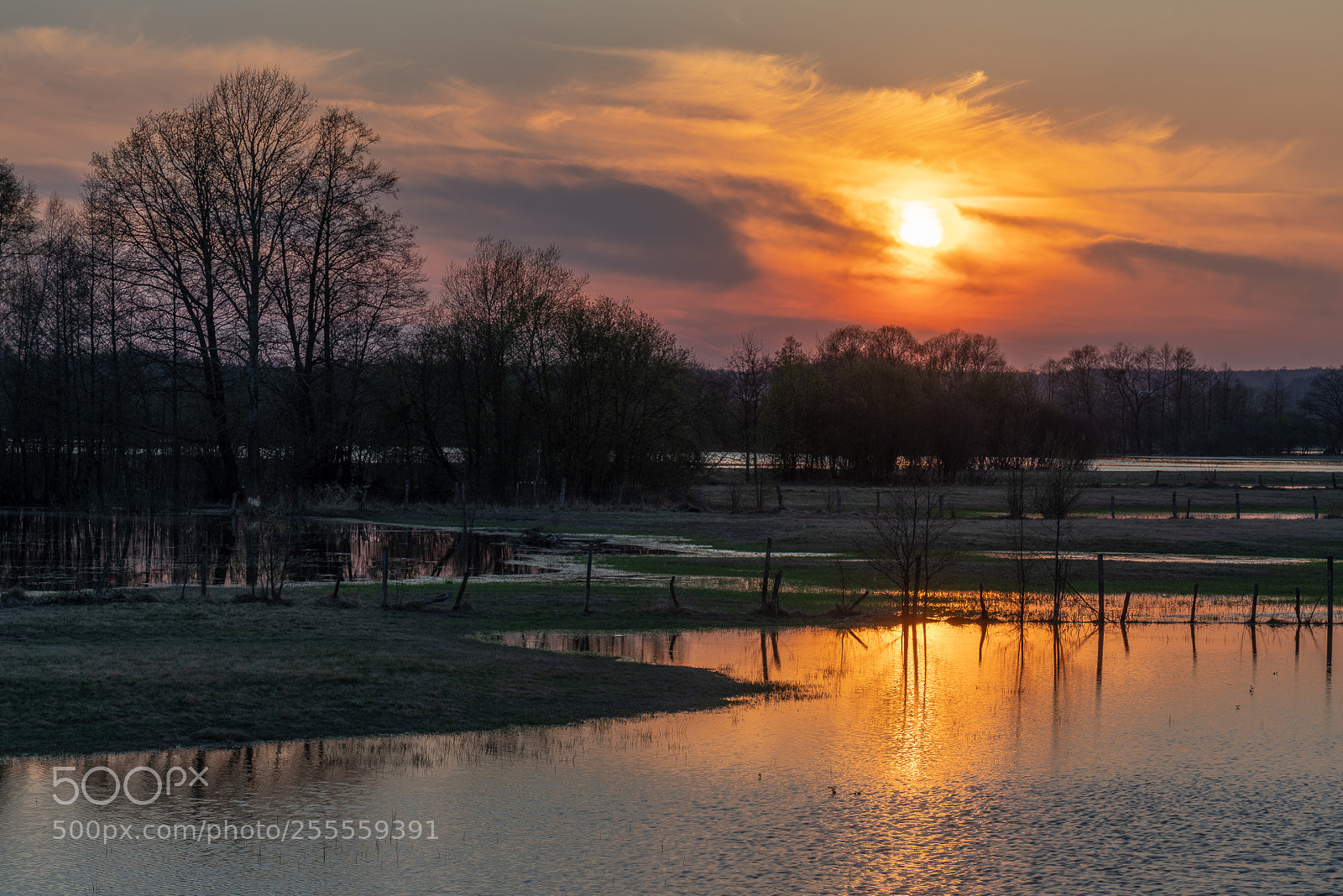 Sony a7R III sample photo. Sunset over the backwaters photography