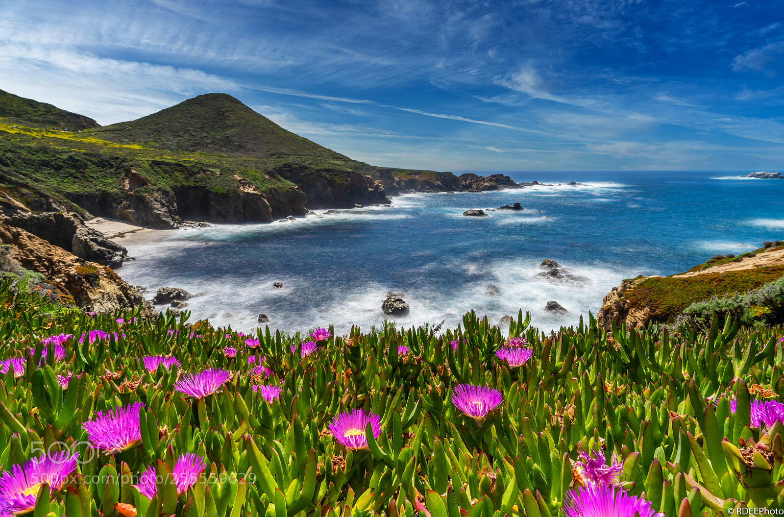 Sony a7 III sample photo. Spring time at garrapata photography
