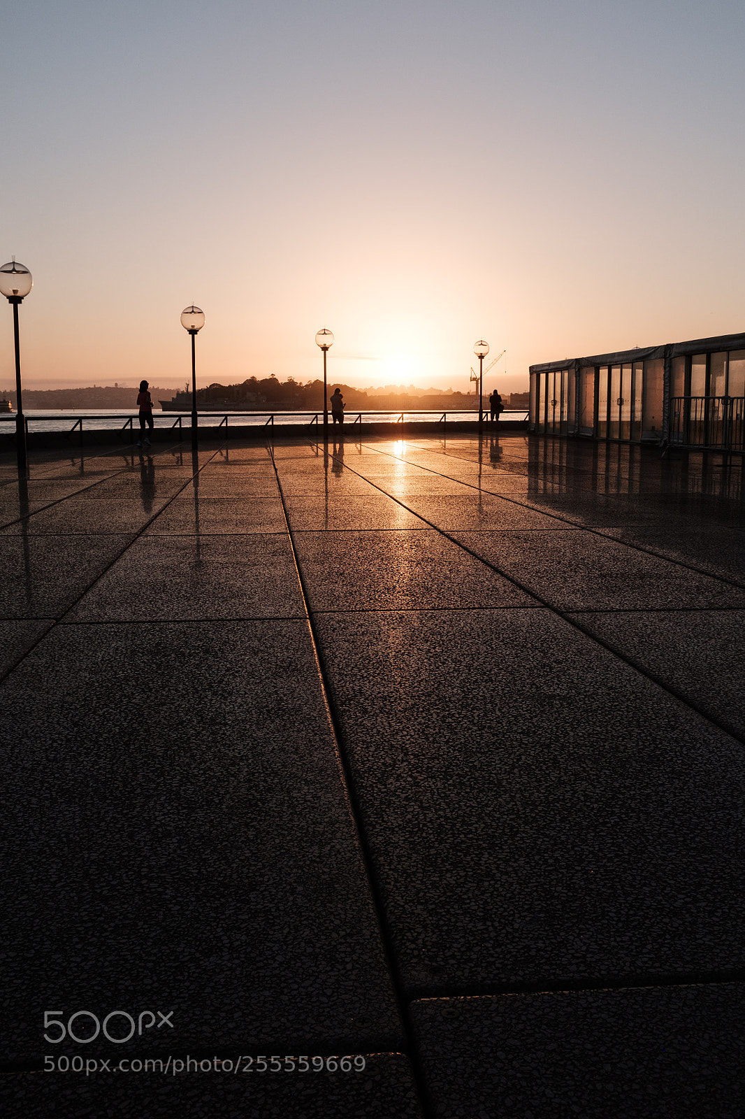 Fujifilm X100F sample photo. Early risers photography