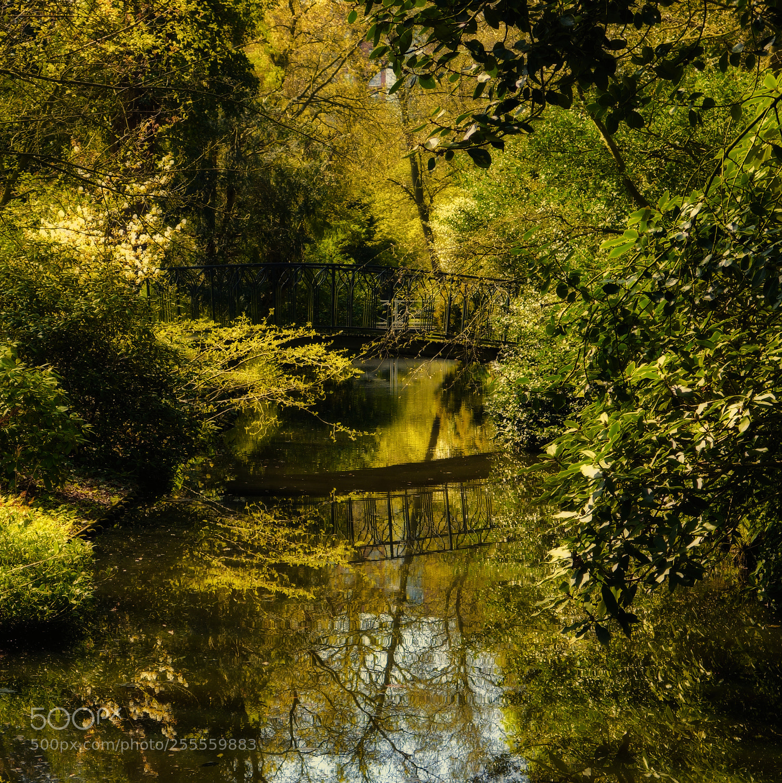 Sony Cyber-shot DSC-RX100 sample photo. Green scenery photography