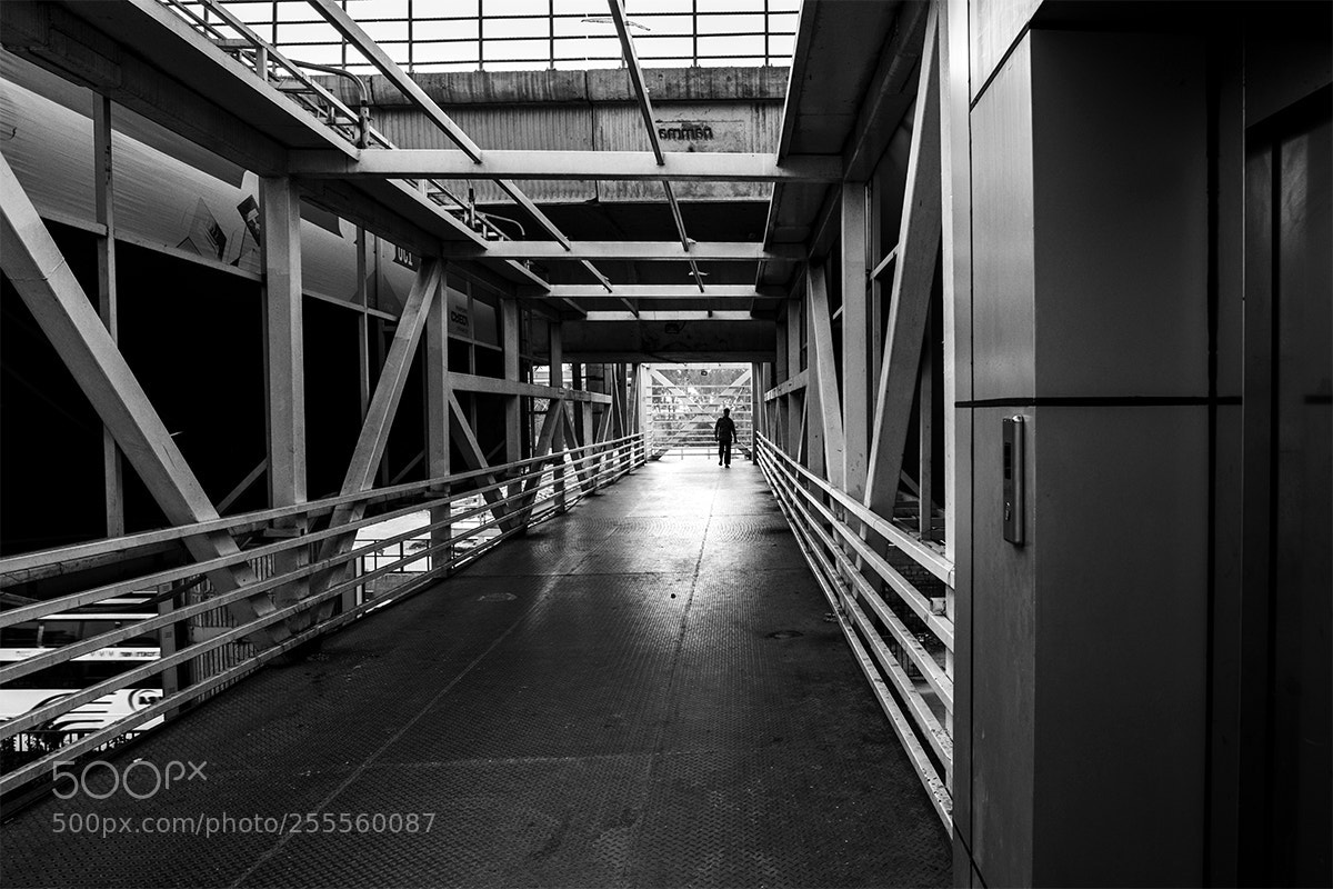 Nikon D850 sample photo. Bridge man photography