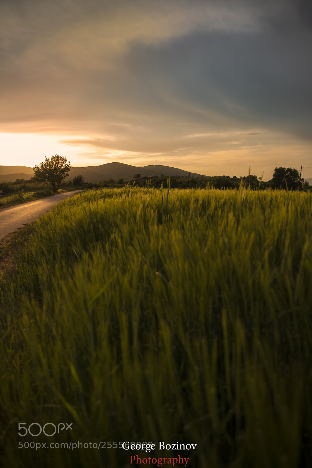 Nikon D610 sample photo. Sunset nature photography