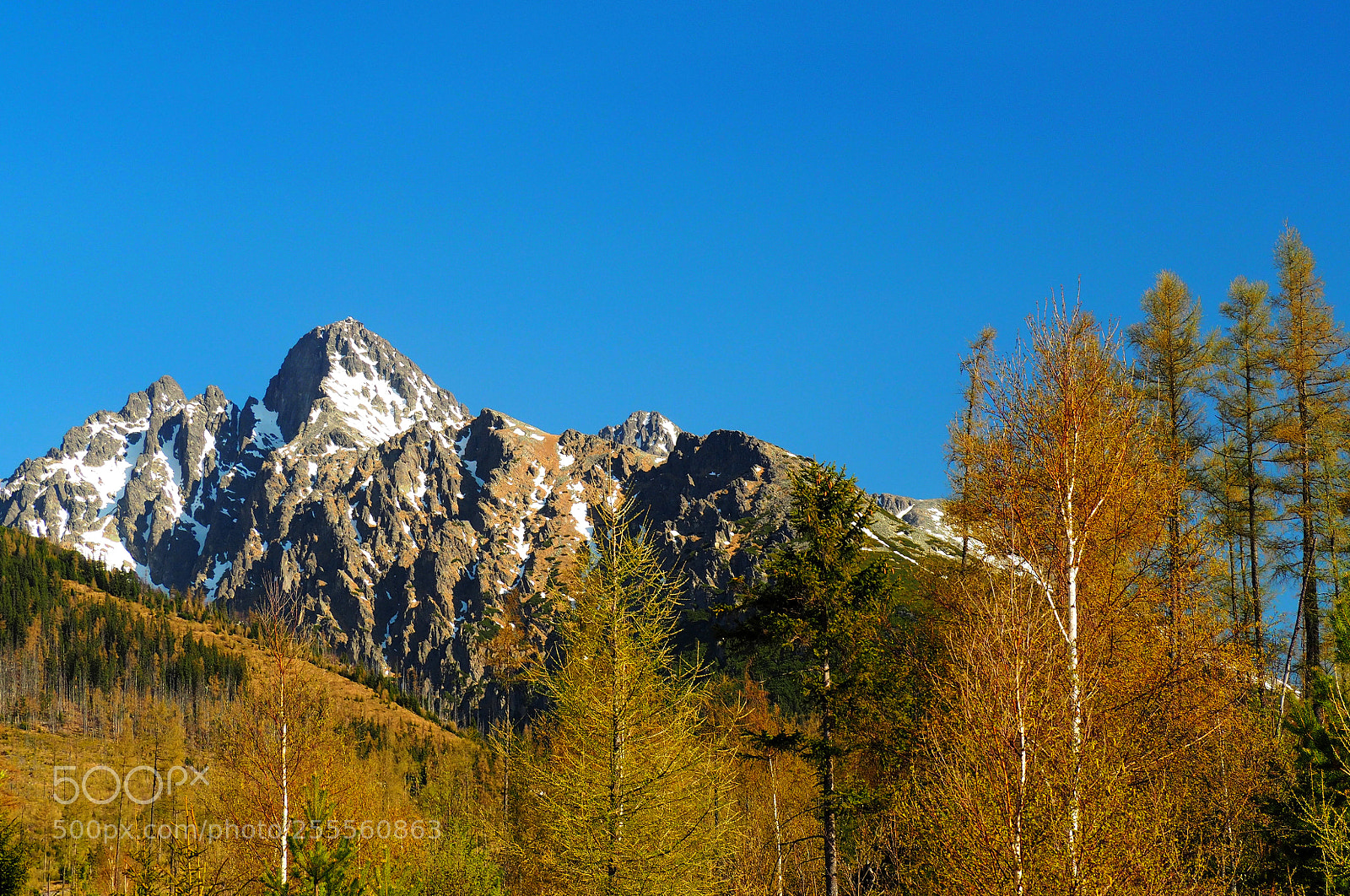 Olympus OM-D E-M10 sample photo. High tatras photography