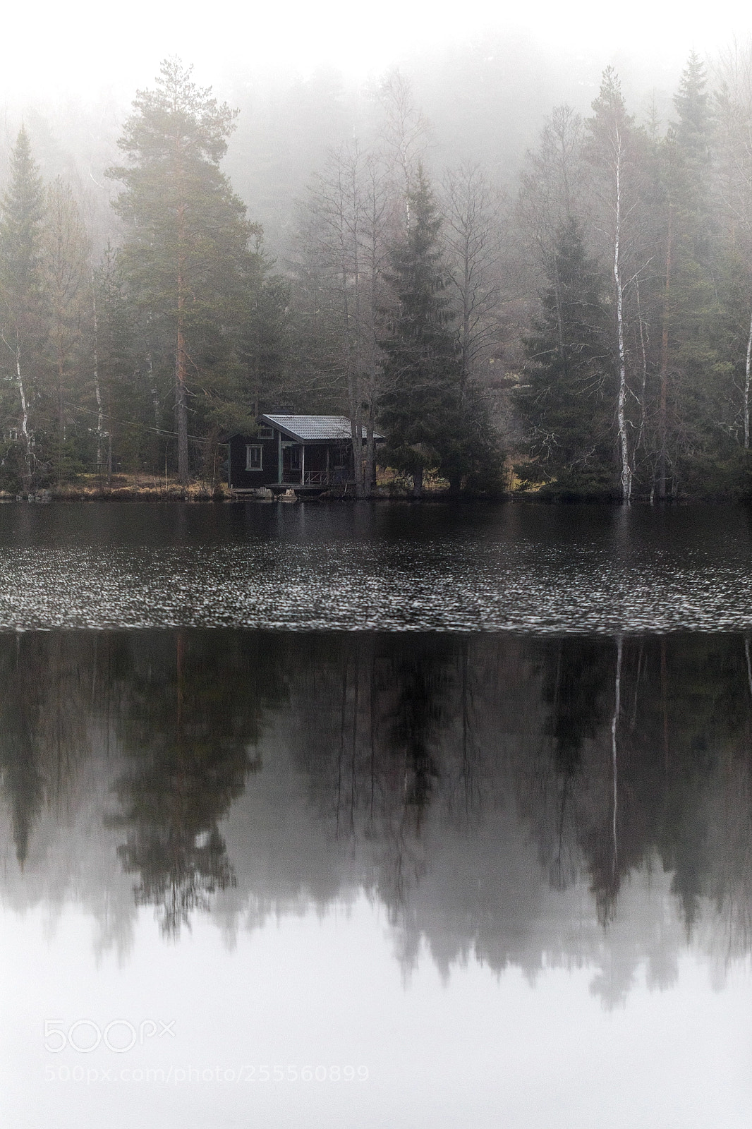 Canon EOS 5D Mark IV sample photo. Lake reflections viii photography