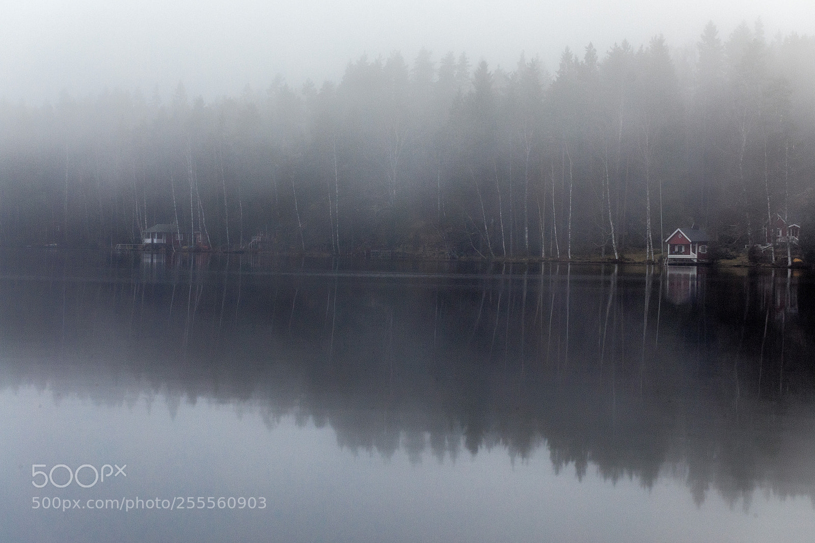 Canon EOS 5D Mark IV sample photo. Lake reflections vii photography