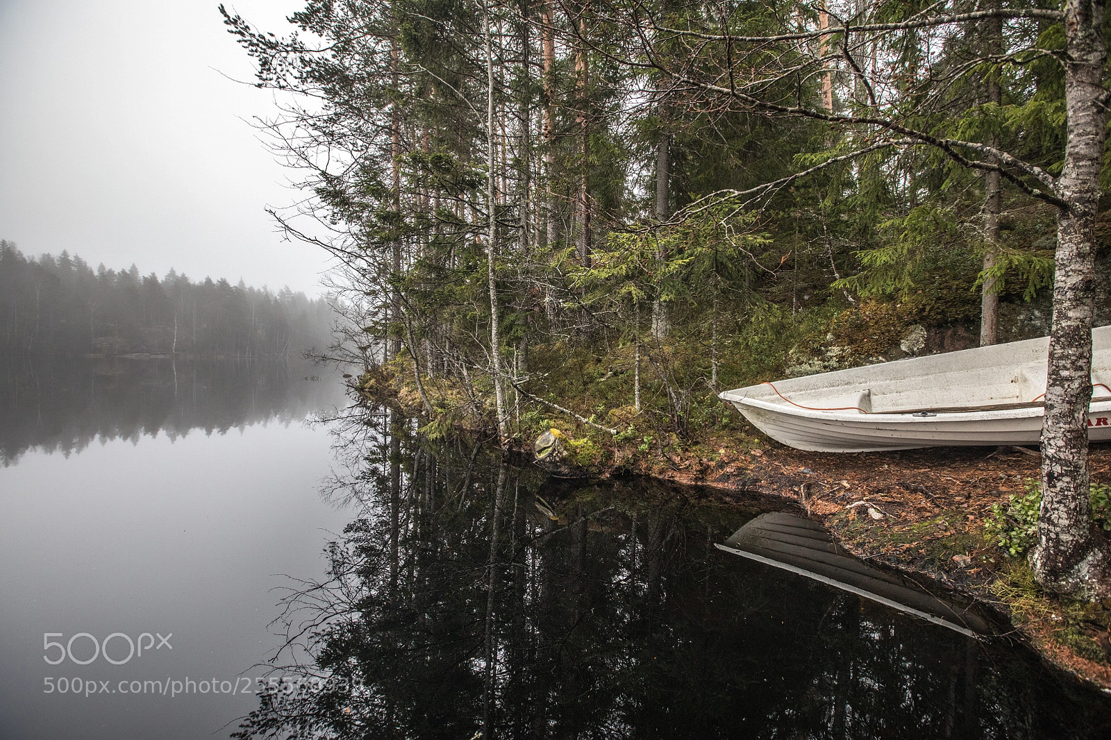 Canon EOS 5D Mark IV sample photo. Lake reflections vi photography