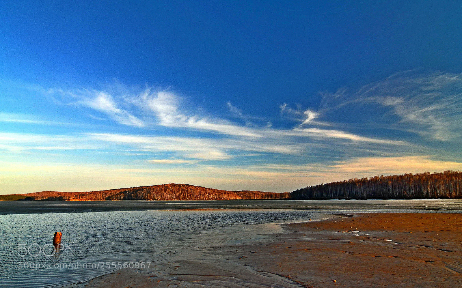 Nikon D7000 sample photo. Surrender of winter photography