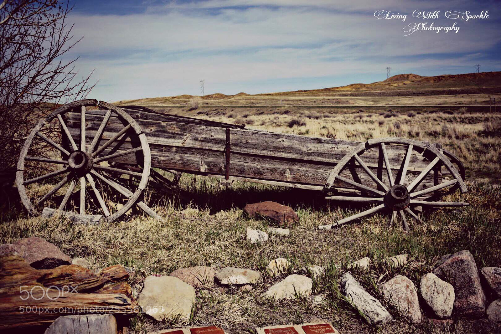 Nikon D5300 sample photo. Untitled photography