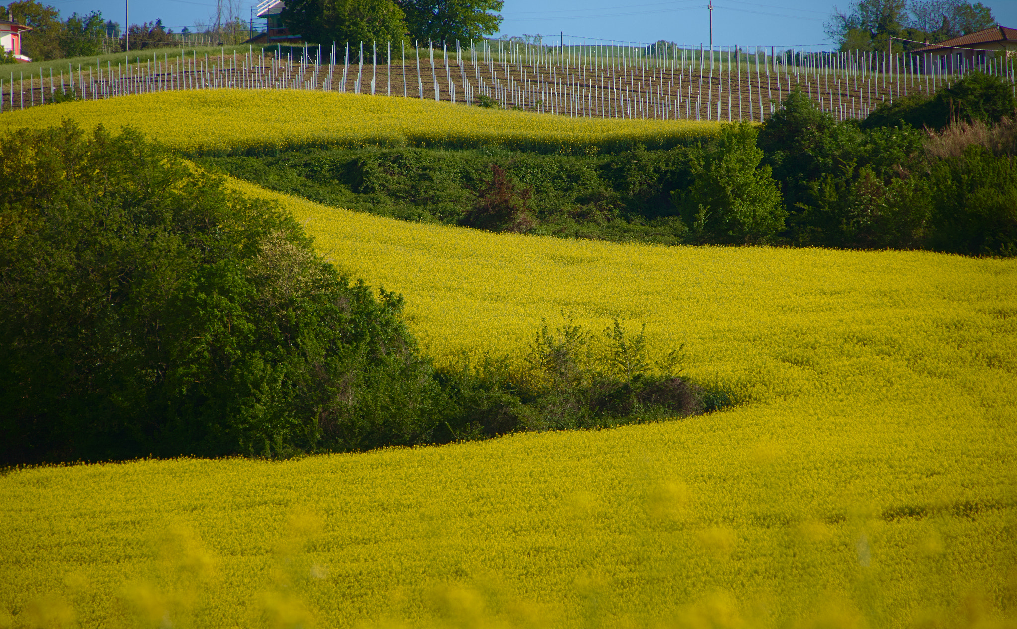 Canon EOS 70D + Canon TS-E 90mm F2.8 Tilt-Shift sample photo. Esse photography