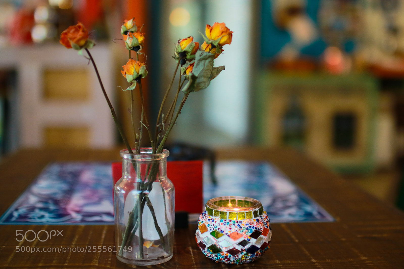 Canon EOS 750D (EOS Rebel T6i / EOS Kiss X8i) sample photo. Untitled photography