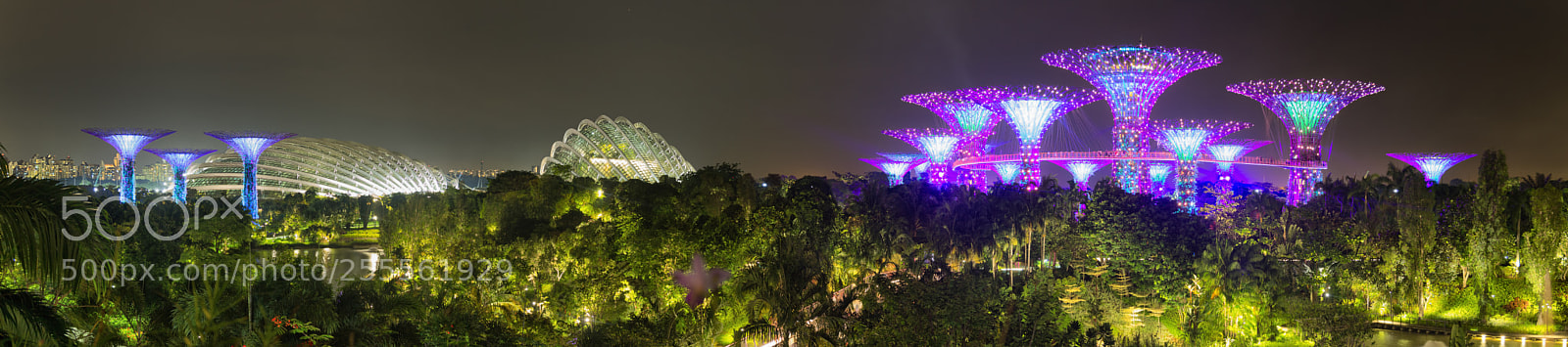 Canon EOS 7D sample photo. Gardens by the bay photography