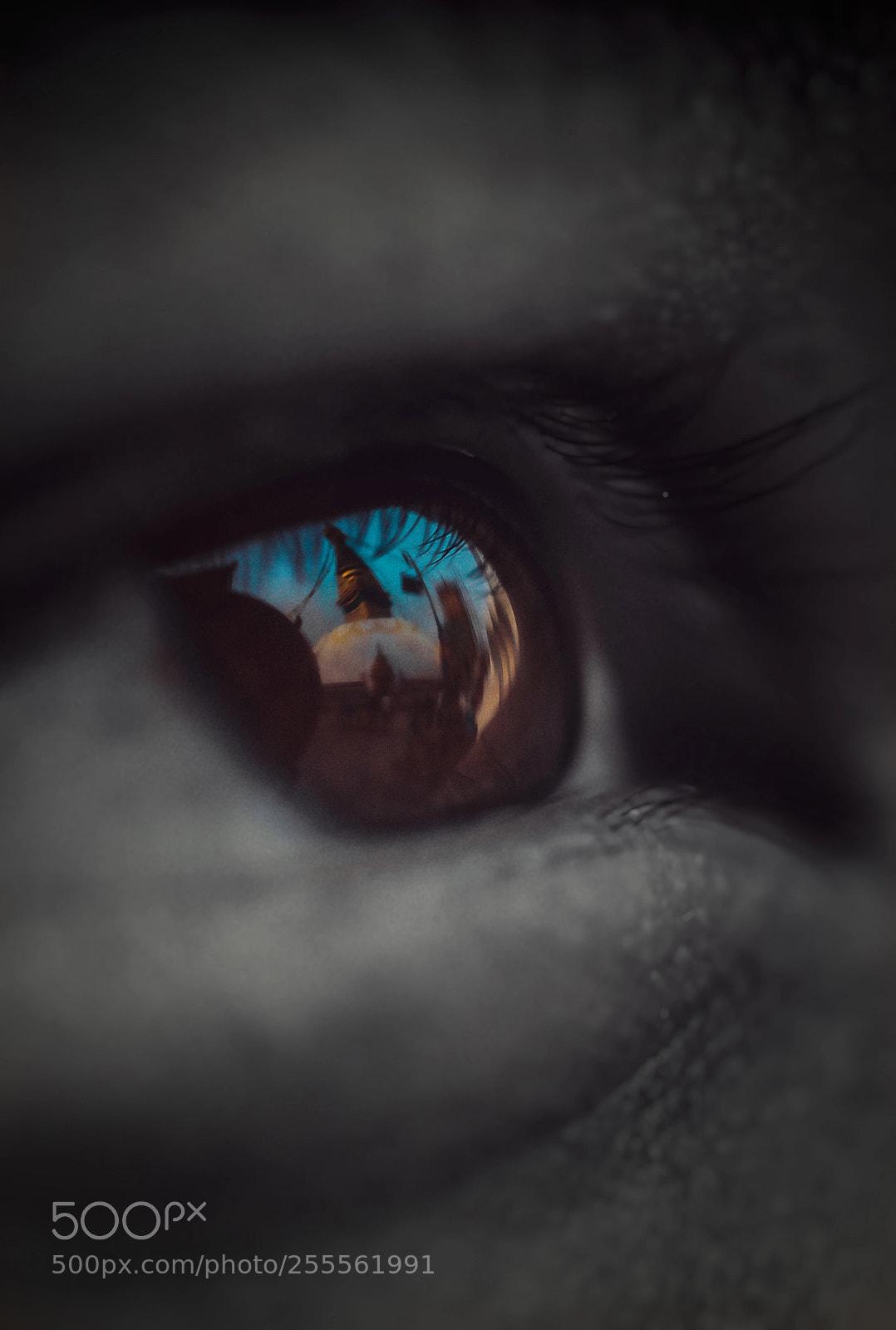 Canon EOS 6D sample photo. Eyes that wants to photography
