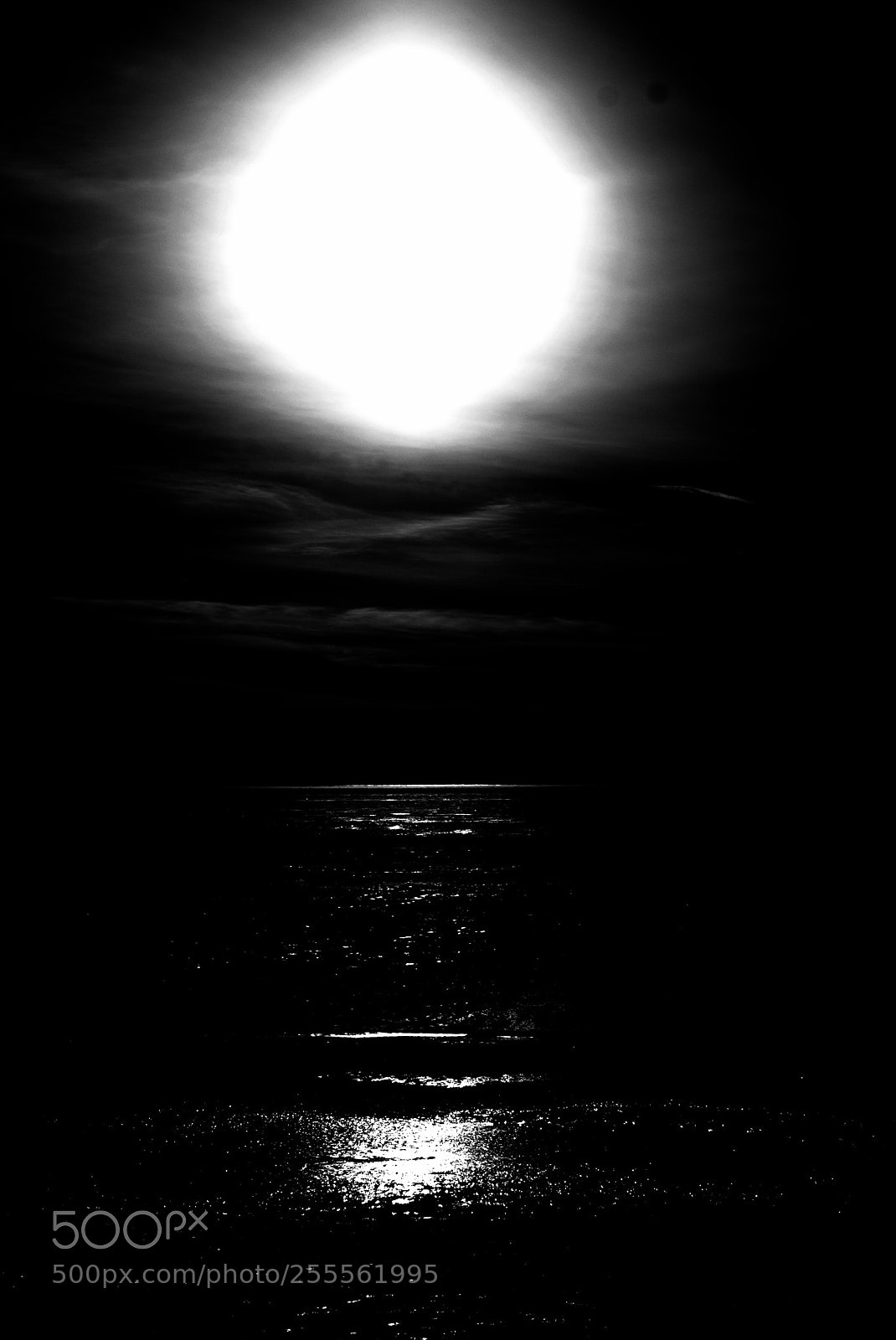 Nikon D3000 sample photo. The sun photography