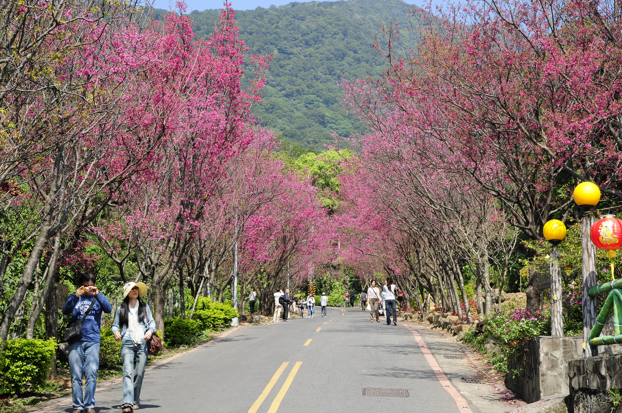 Nikon D300S sample photo. Cwk photography