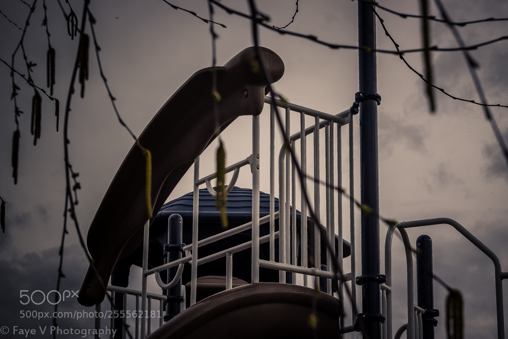 Canon EOS 600D (Rebel EOS T3i / EOS Kiss X5) sample photo. Coldjungle photography