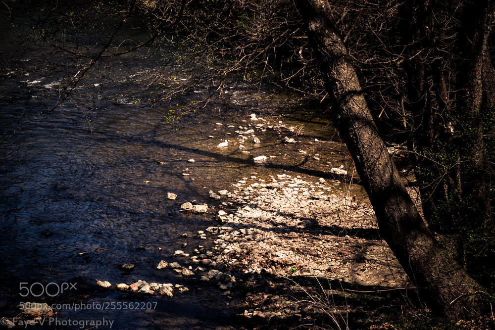 Canon EOS 600D (Rebel EOS T3i / EOS Kiss X5) sample photo. Riverstyx photography