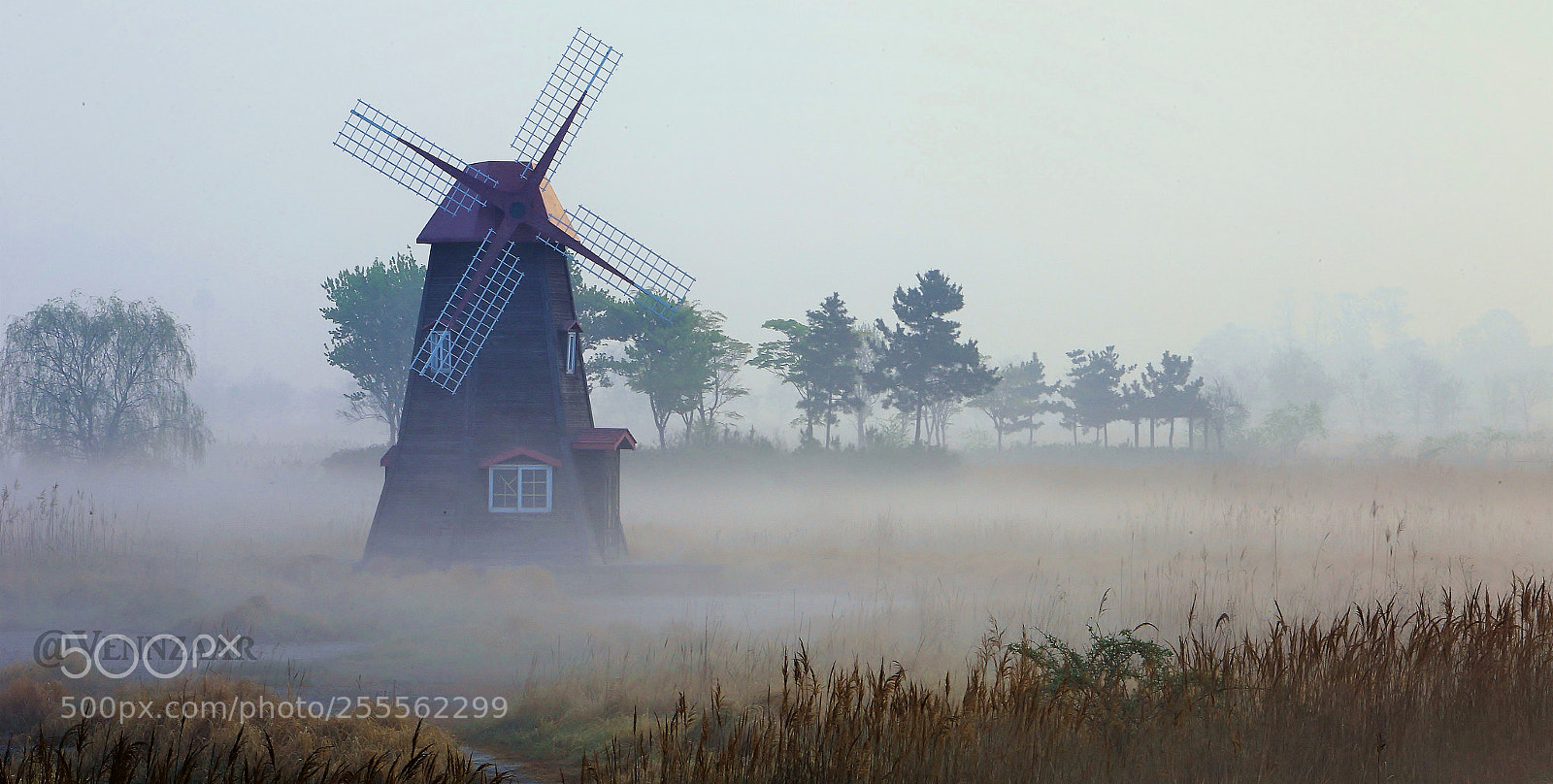 Canon EOS 6D sample photo. Sorae incheon south korea photography