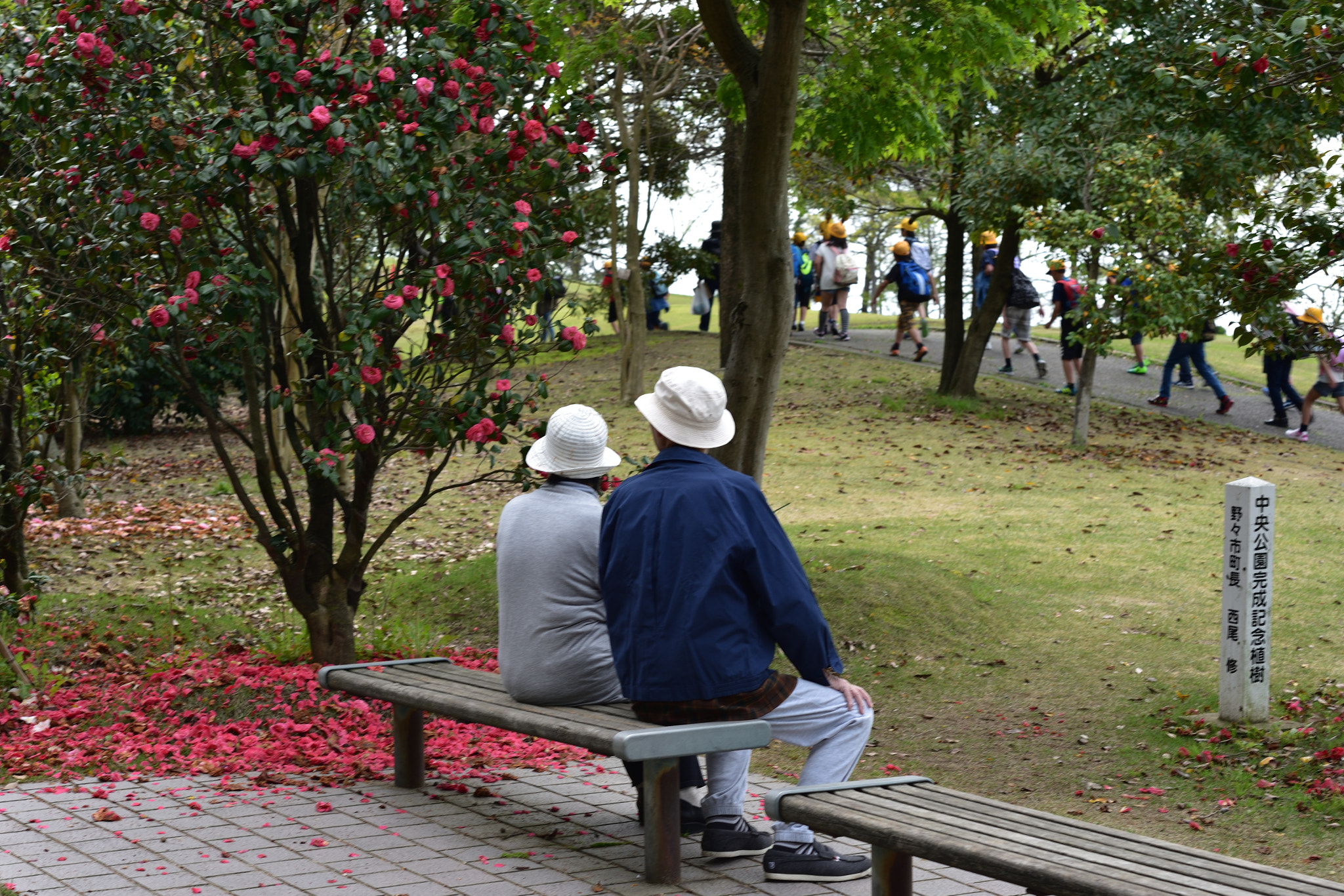 Nikon D750 sample photo. 一休み 野々市中央公園 photography