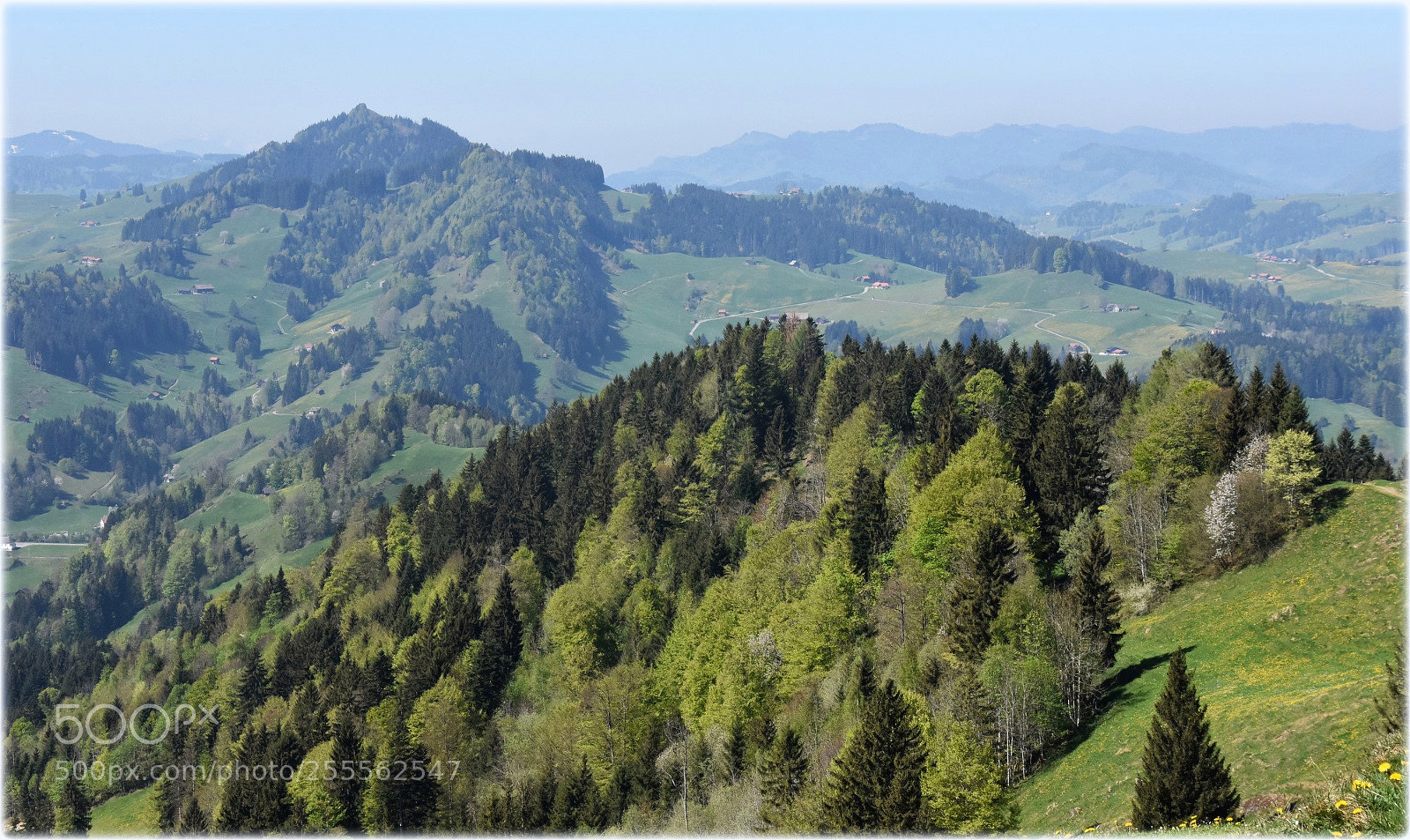 Nikon D7200 sample photo. "overview" photography