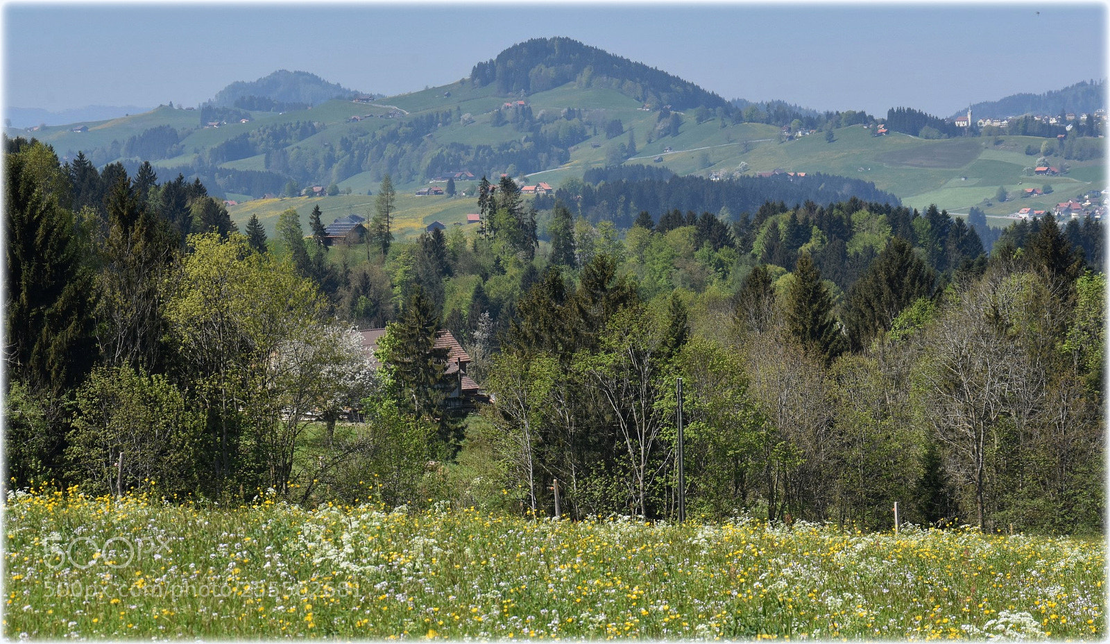 Nikon D7200 sample photo. "may-starts" photography