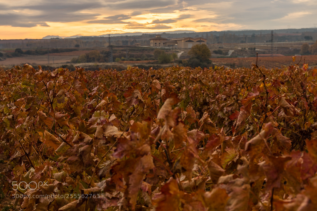 Canon EOS 80D sample photo. Amanece en la vi photography