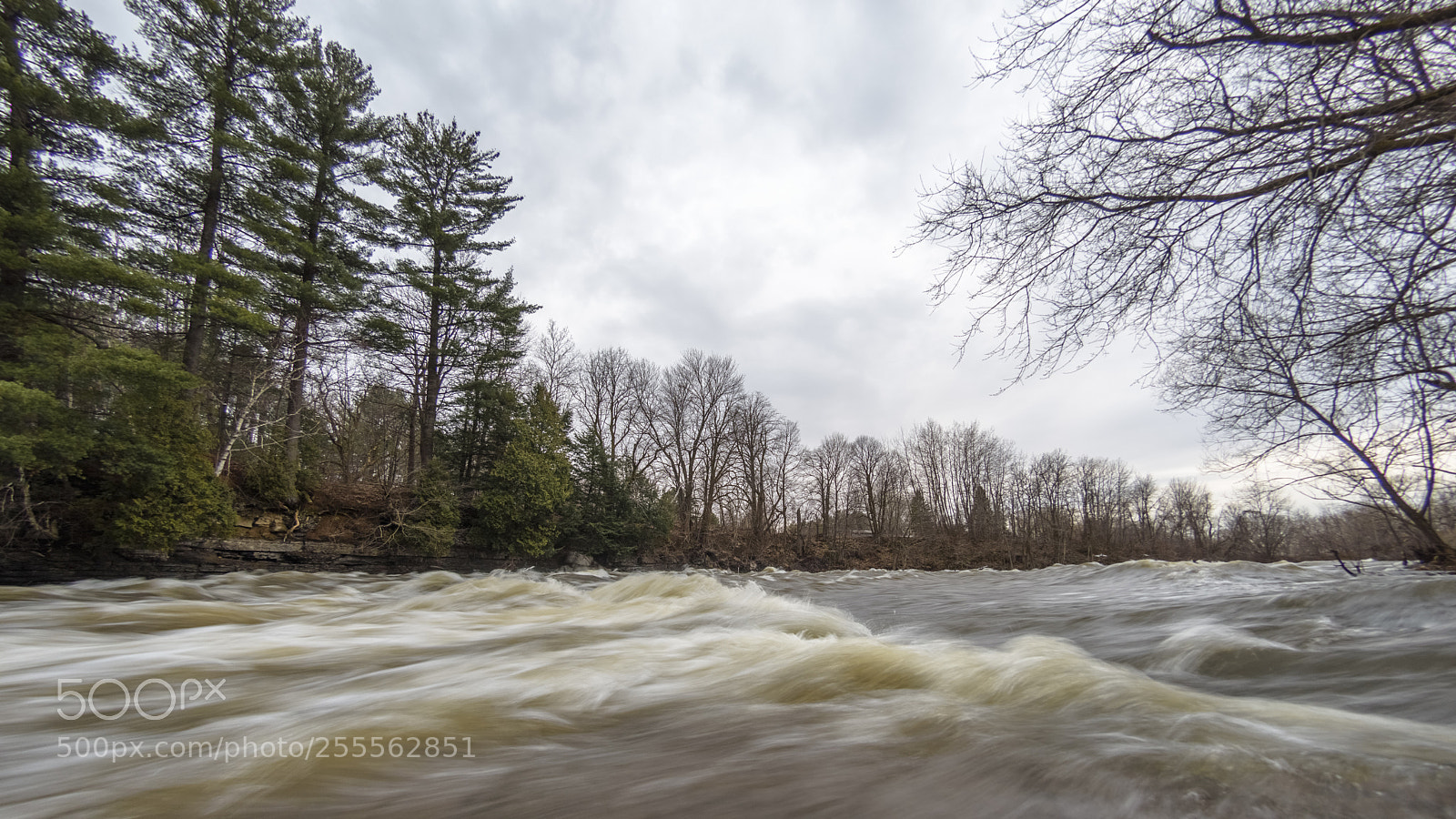 Nikon D7200 sample photo. Parc du moulin fisk photography