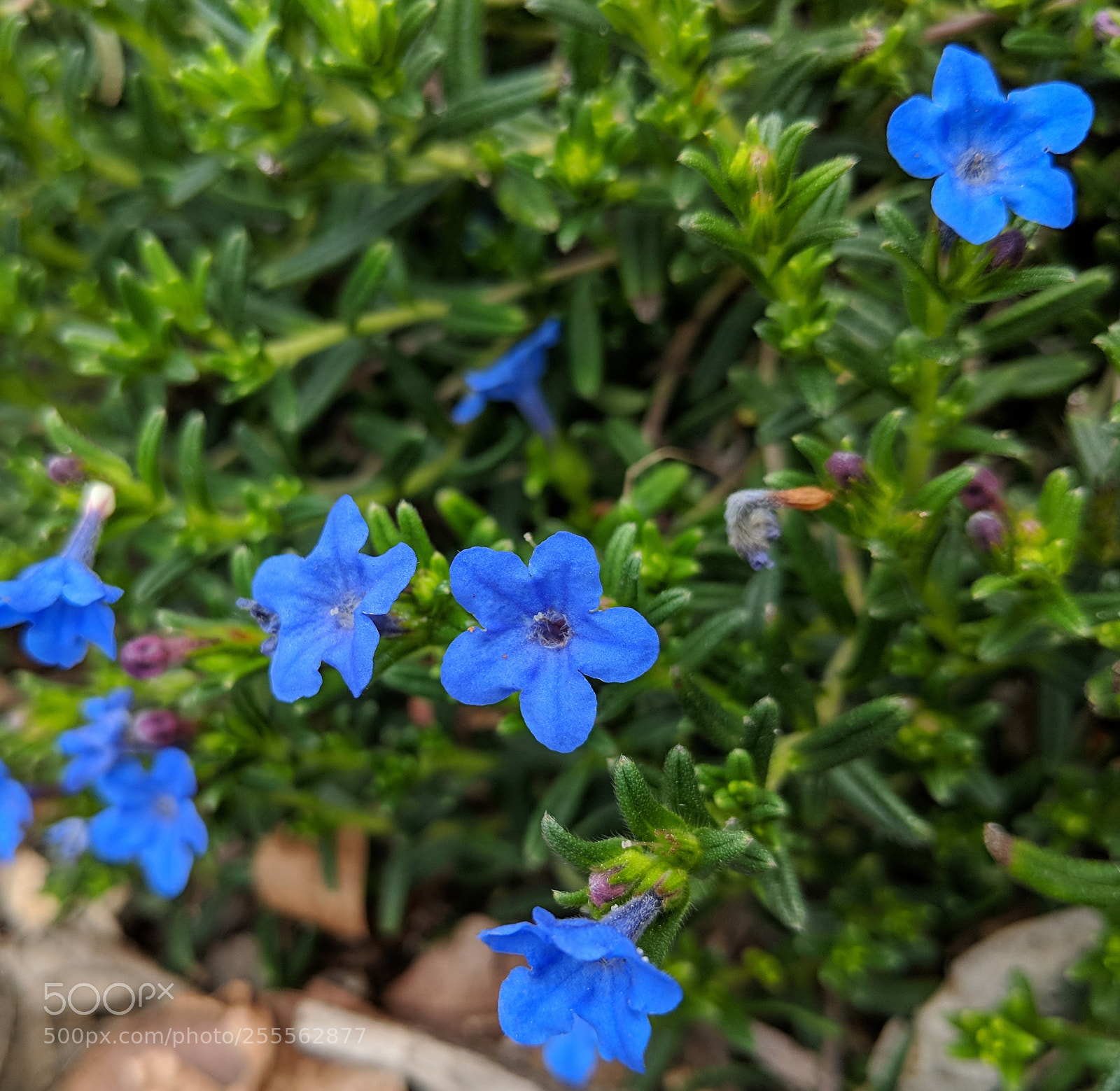 Google Pixel 2 XL sample photo. Untitled photography