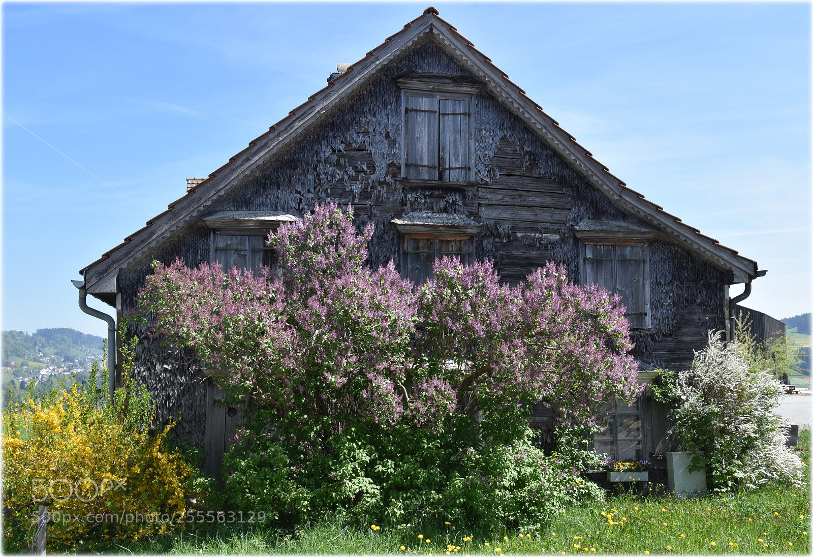 Nikon D7200 sample photo. "in color" photography