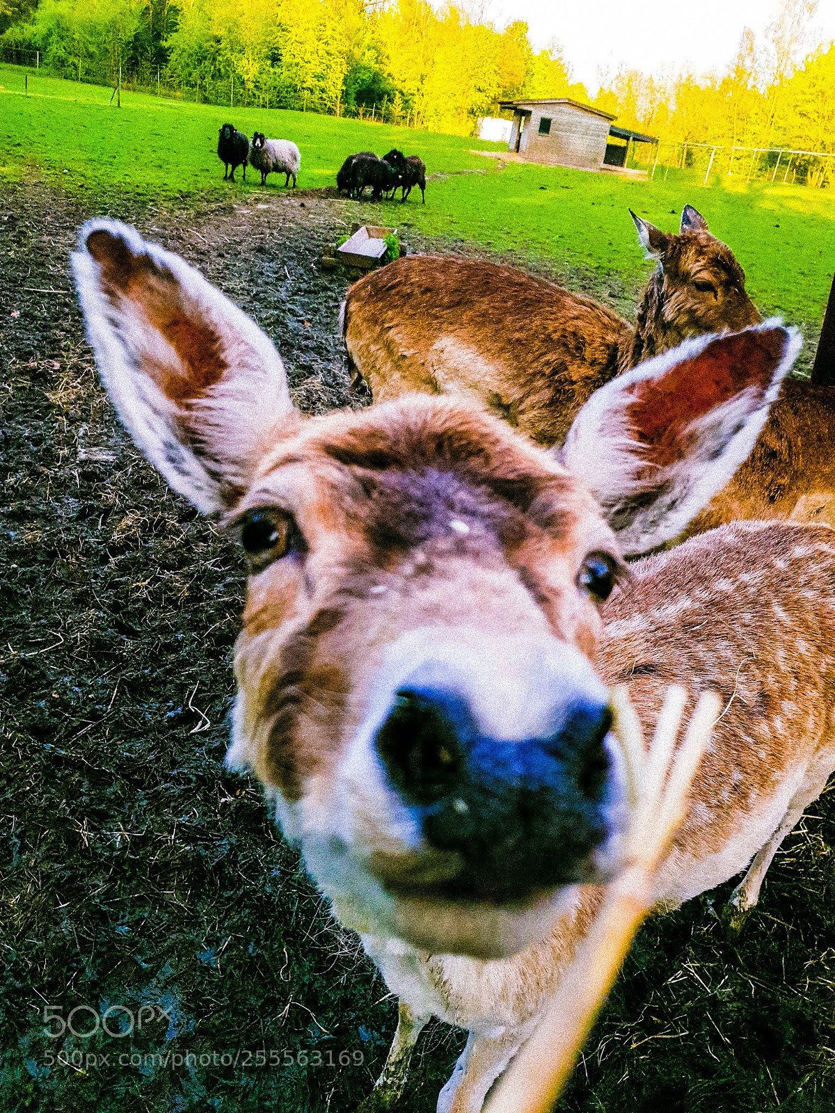Samsung Galaxy S9 sample photo. Untitled photography