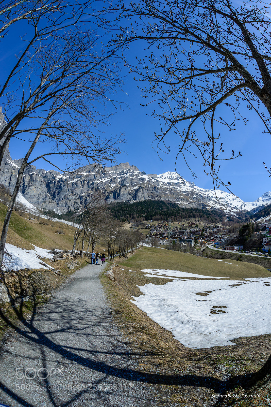 Nikon D610 sample photo. Natural frame photography