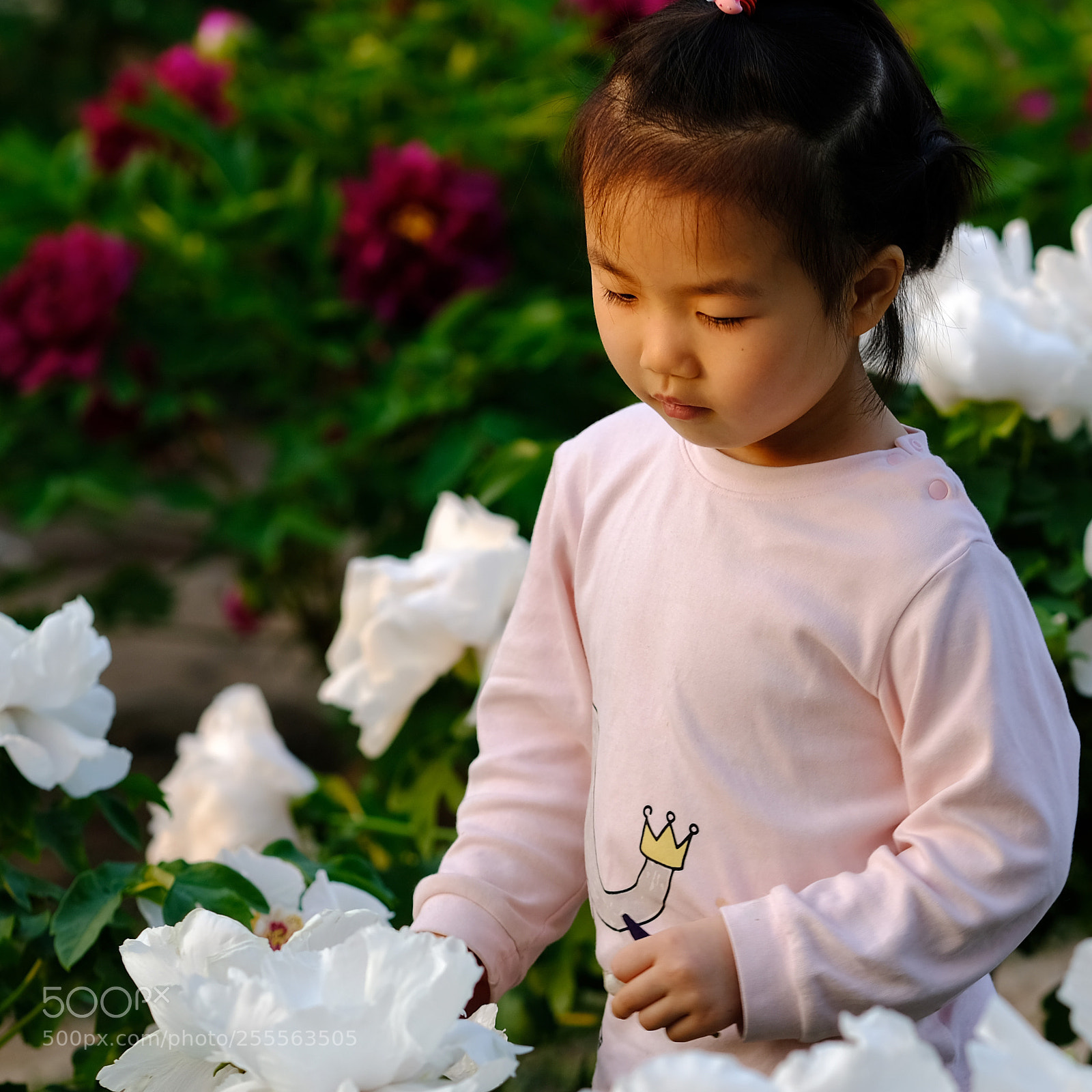 Fujifilm X-T2 sample photo. Children photography