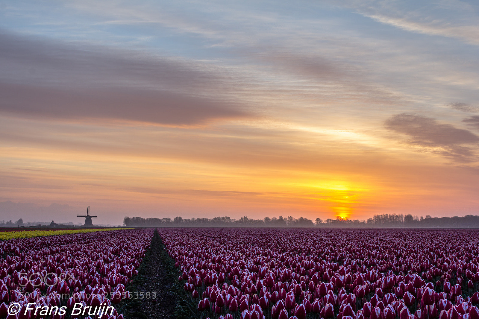 Canon EOS 60D sample photo. Sunrise in holland photography