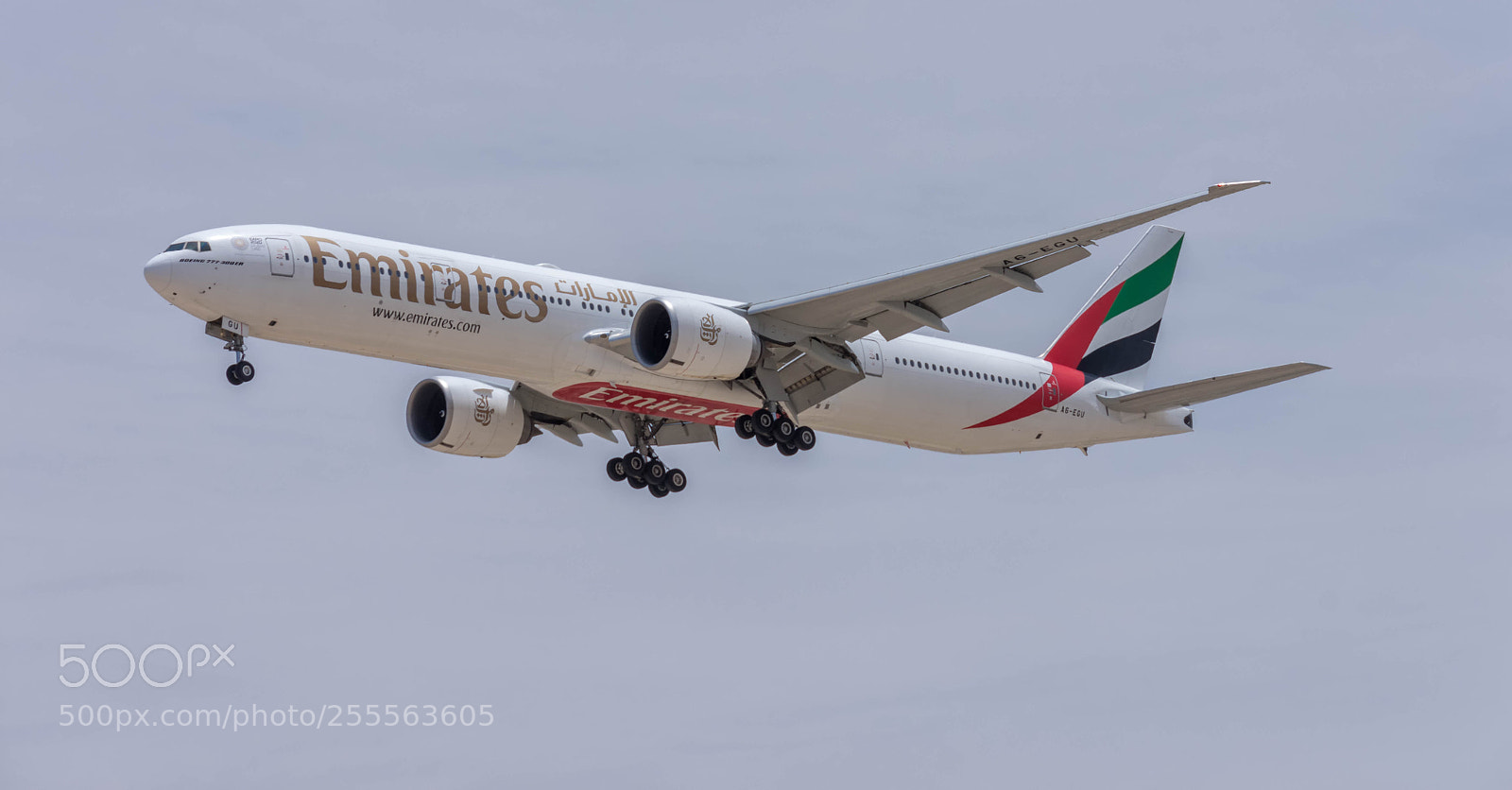 Nikon D7200 sample photo. Cleared to land photography