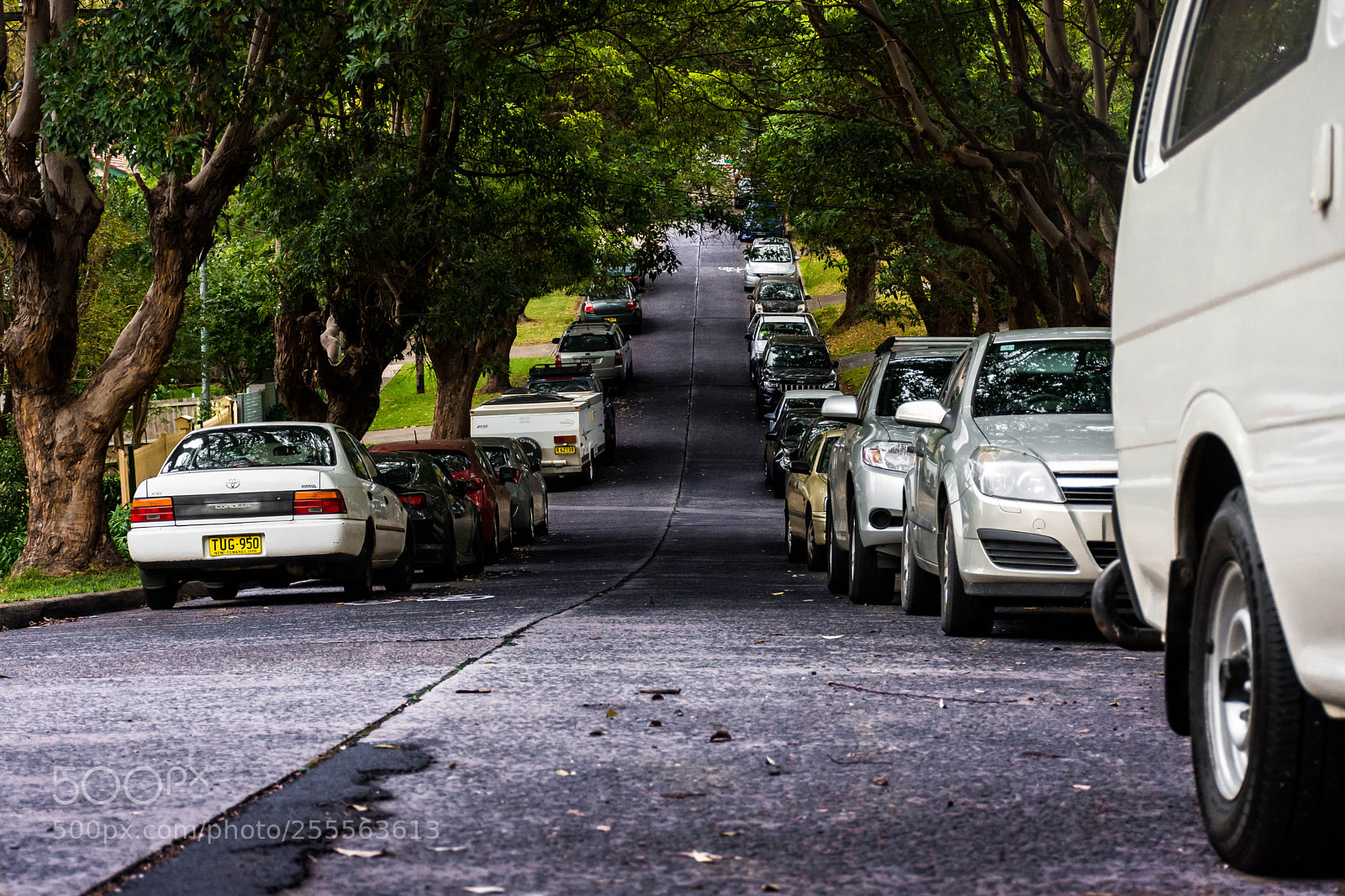 Nikon D7200 sample photo. Road at morning time photography