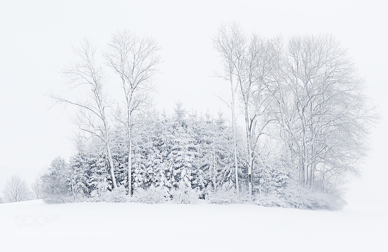 Canon PowerShot G16 sample photo. Winter story photography