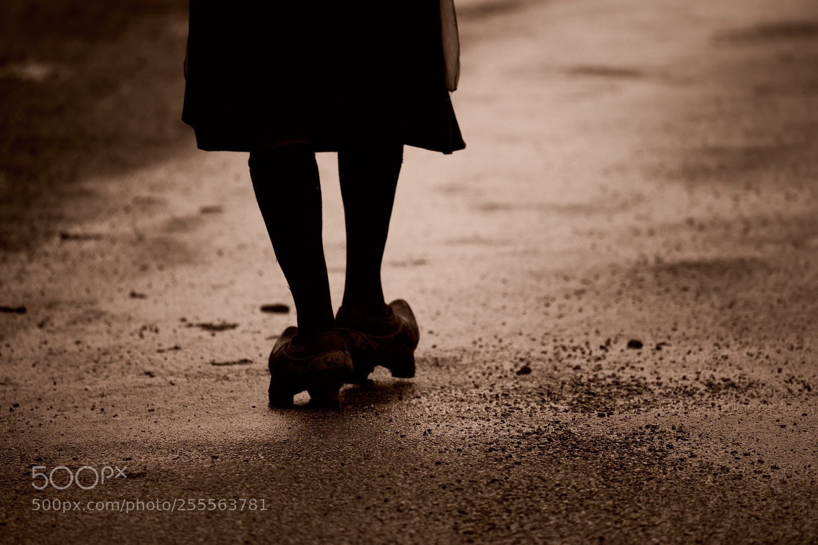 Canon EOS 5D Mark II sample photo. The ancares, san martin photography