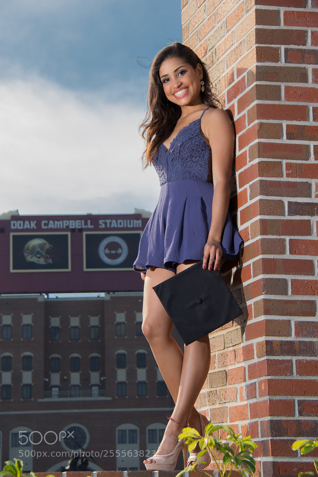 Canon EOS 60D sample photo. Fsu photography