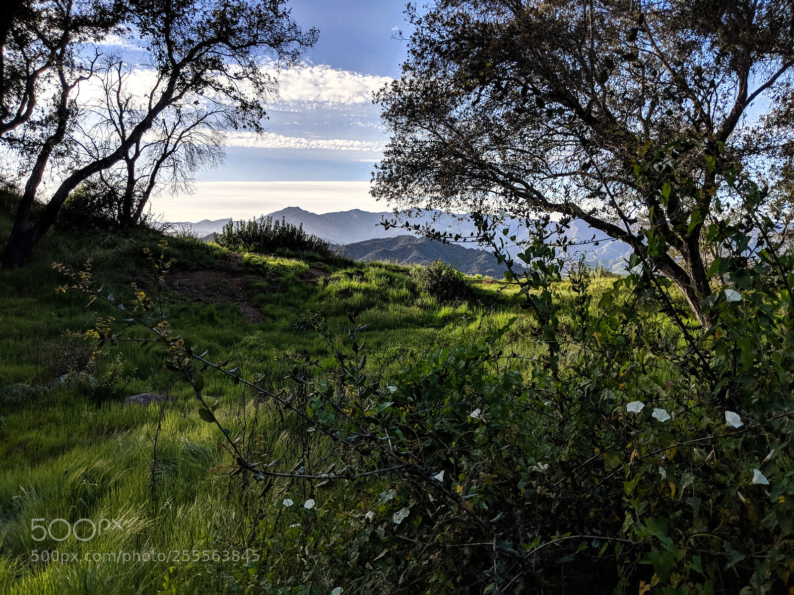 Google Pixel 2 XL sample photo. Ojai valley sunset photography