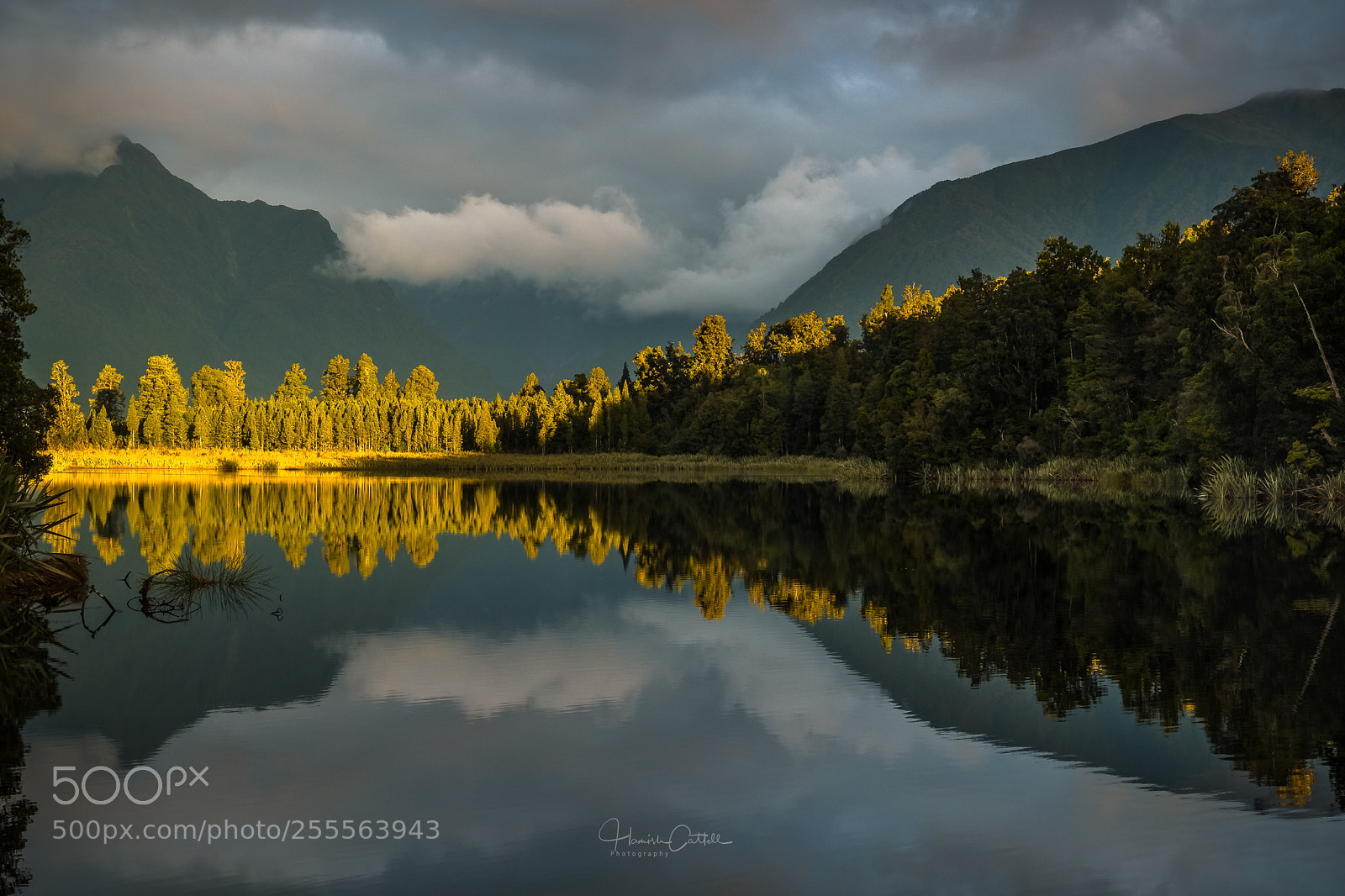 Fujifilm X-T2 sample photo. Westland reflections photography