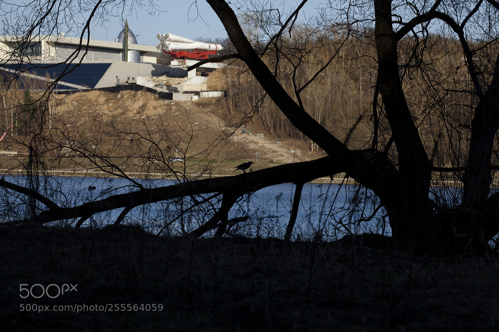 Canon EOS 5D Mark II sample photo. #raven photography