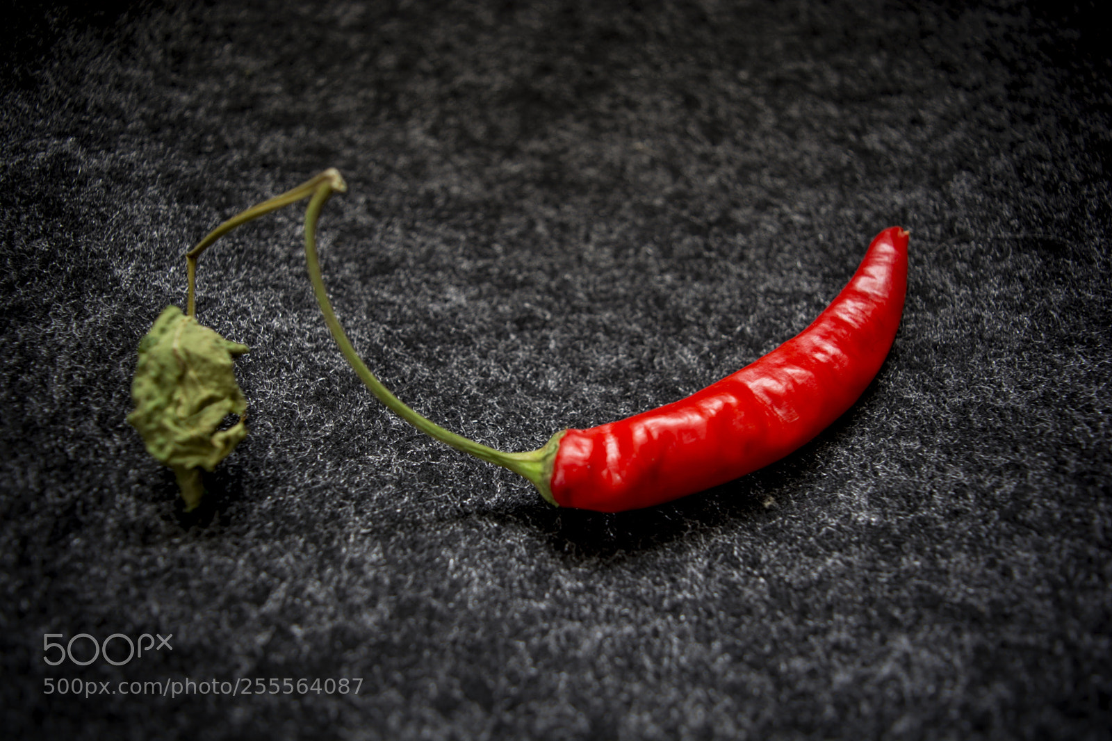 Nikon D5200 sample photo. перчик photography