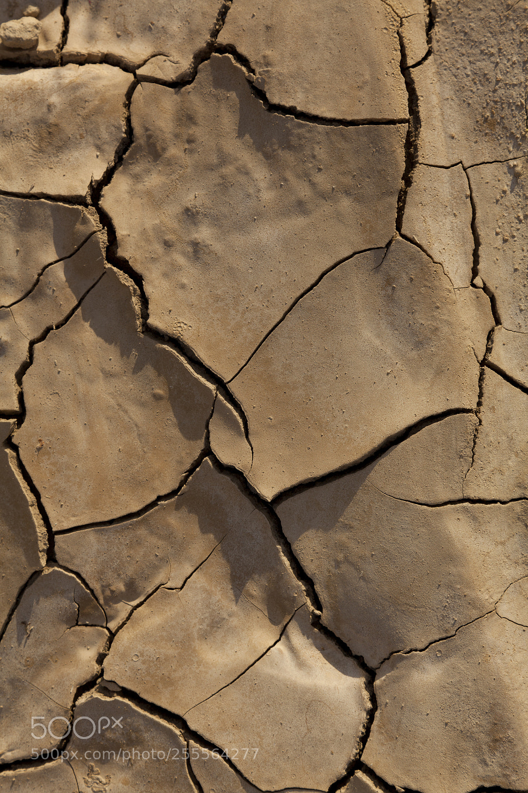 Canon EOS 5D Mark II sample photo. Desertification, bardenas reales, navarra photography