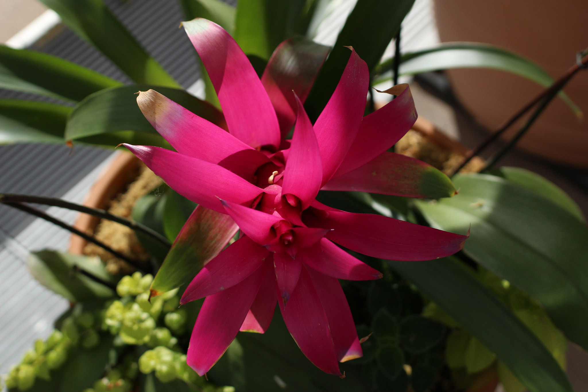 Canon EOS 1200D (EOS Rebel T5 / EOS Kiss X70 / EOS Hi) sample photo. Img photography