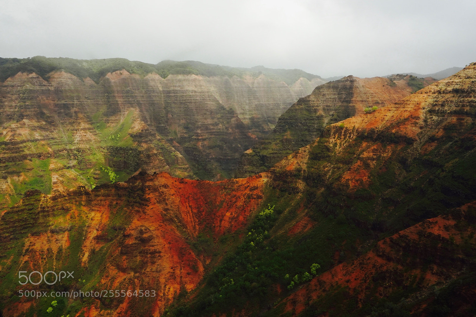 Sony a9 sample photo. Waimea photography