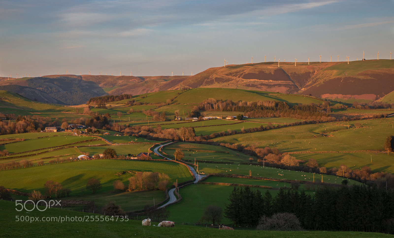 Canon EOS 5D Mark IV sample photo. Winding road photography