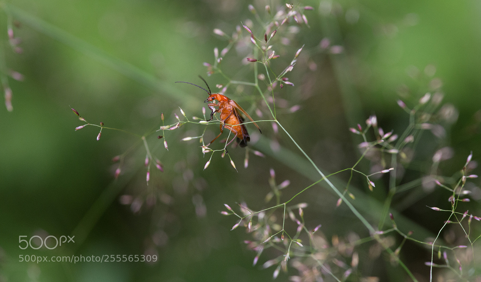 Canon EOS 6D sample photo. Balance photography